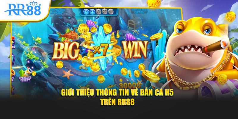 Giới thiệu thông tin về bắn cá h5 trên KUBET